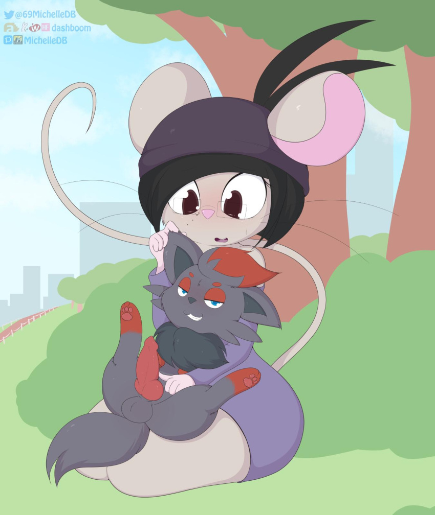 2019 anthro anthro_only balls beanie black_hair blue_eyes brown_eyes dashboom furry gray_fur grey_fur male michelle_(dashboom) mouse original original_character penis pokémon_(species) pokemon pokemon_(species) zorua