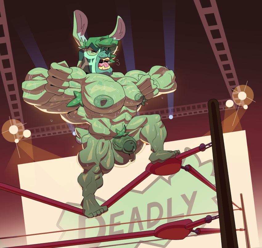 abs angry anthro balls bodily_fluids body_hair chest_hair clothing feet fighting_ring genital_fluids genitals green_body green_hair hair hairy hi_res hitting_chest lagomorph leporid lucha_libre_mask male mammal mask muscular muscular_anthro muscular_male nipples pecs penis precum presenting pubes rabbit roaring short_stack solo sports_mask sportswear sweat sweatdrop vaniwall vein veiny_penis wrestling wrestling_mask