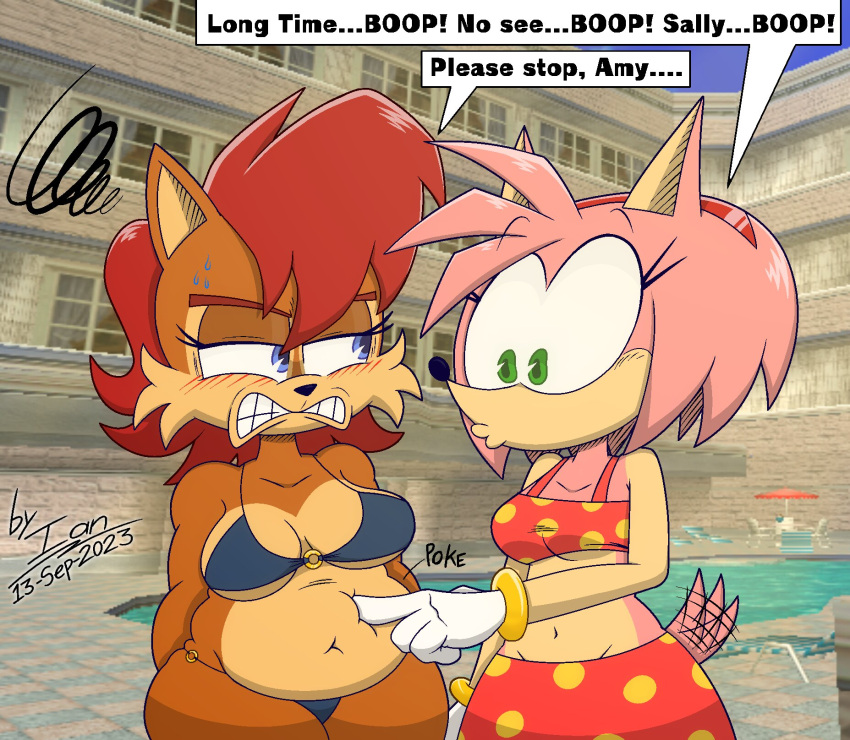 2girls amy_rose angry anthro archie_comics bikini breasts brown_body brown_fur chipmunk chubby_anthro chubby_female comedy female funny furry hedgehog humor navel pink_body pink_fur pink_hair raccoondarkcorner raccoonmugen red_hair sally_acorn sonic_(series) sonic_the_hedgehog_(archie) sonic_the_hedgehog_(comics) sonic_the_hedgehog_(series) tailwag