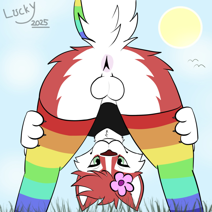 Accessory Rule 34 Image