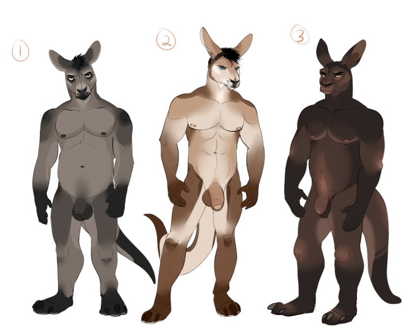 2014 3boys abs anthro ass boilerroo brown_fur flaccid fur furry grey_fur humanoid_penis kangaroo looking_at_viewer male male_only mammal marsupial multiple_males muscles nipples nude pecs penis standing tan_fur testicles uncut white_fur