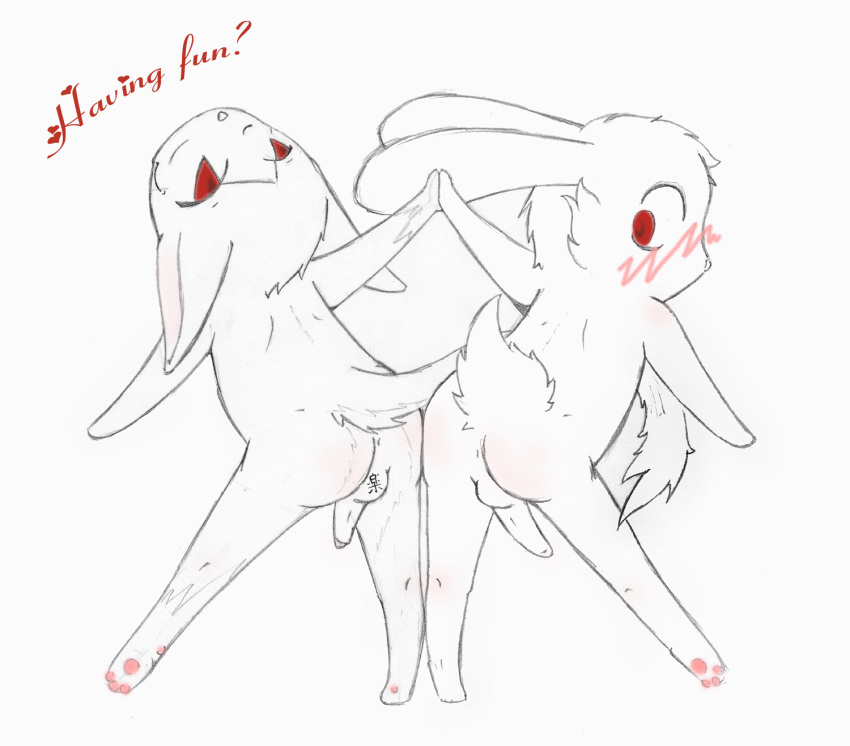 animal_crossing artist_request ass balls blake blush cute dancing english_text feline flynnmerk japanese_text lagomorph male nintendo paws penis rabbit red_eyes rover_(animal_crossing) sketch source_request symmetry text translation_request yaoi year_request