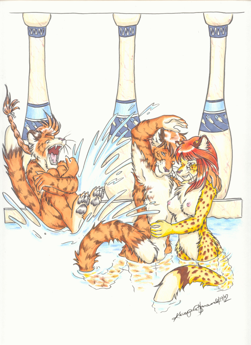 2002 anthro breasts cannonball_(dive) feline female fur furry kacey male nude pussy red_hair sheath standing swimming tiger