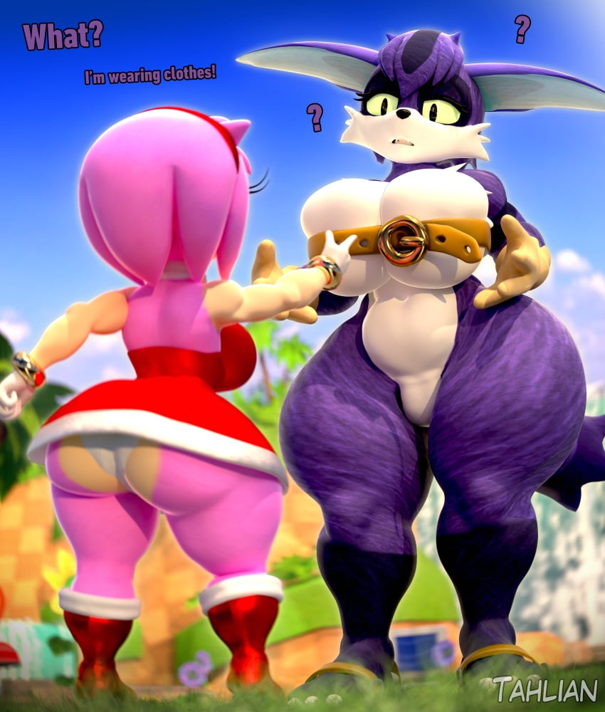 2girls 3d_(artwork) amy_rose belt big_ass big_breasts big_the_cat featureless_crotch female furry genderswap_(mtf) sega sonic_(series) tahlian