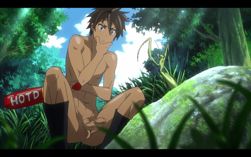 1boy ass baseball_bat black_socks brown_eyes brown_hair butt edit erection forest forest_background gay grass hand_on_chin highschool_of_the_dead male male_focus male_only mantis nude penis praying_mantis rock socks solo squat squatting takashi_komuro thinking uncensored yaoi