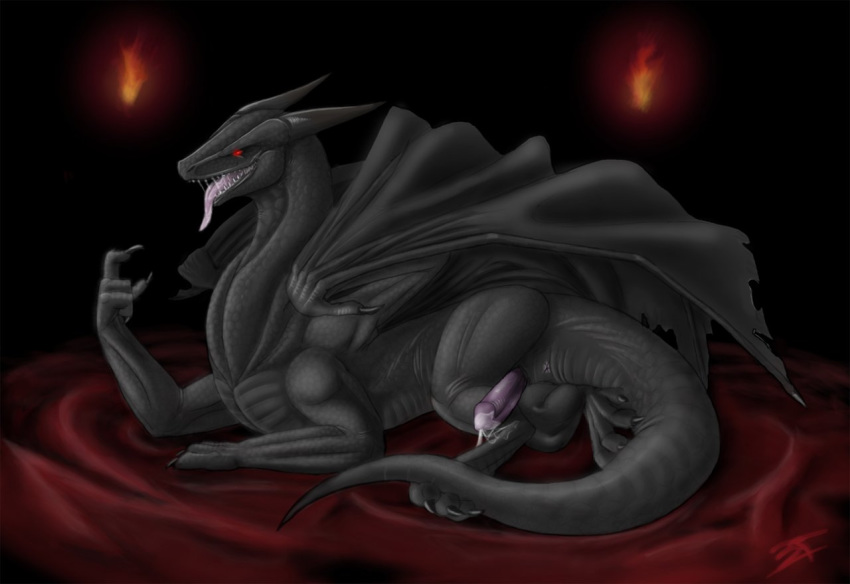 1boy anus black blacktalons dragon erection feral male male_only open_mouth penis precum red_eyes scalie solo tail tongue wings