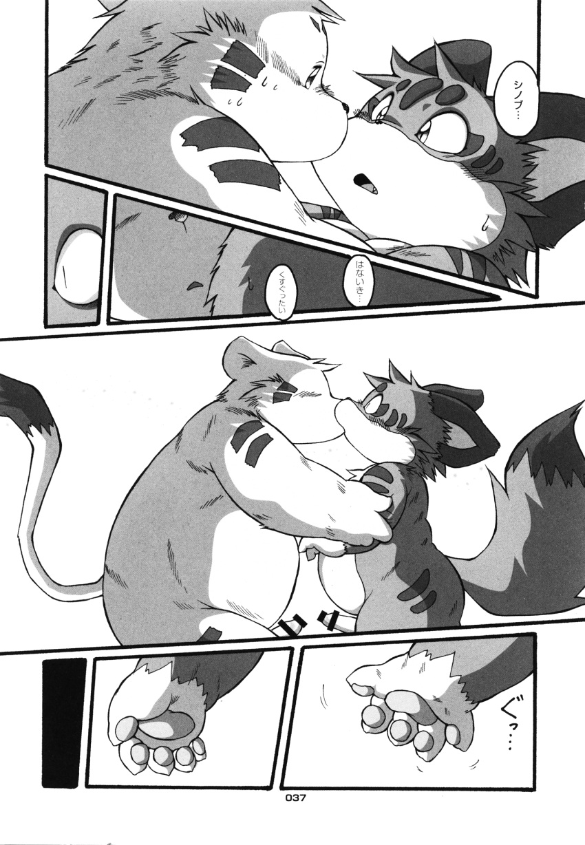 Black And White Rule 34 Image