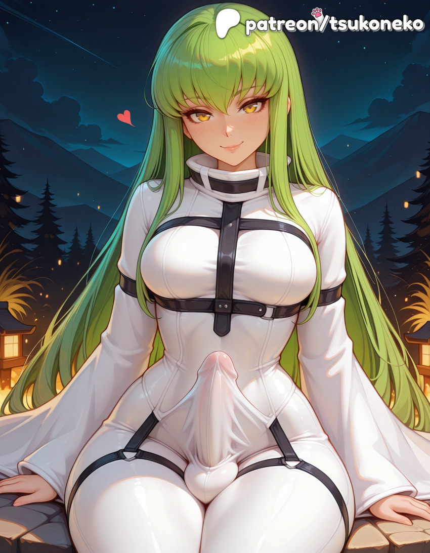 C.C. (Code Geass) Rule 34 Image