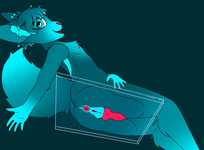 absurd_res anthro anus ass ass_up balls big_butt big_tail blue_body blue_eyes blue_fur blue_hair blush breasts butt_focus canid canine clothing ears_down ears_up fangs female fennec_fox fingers flat_chest fluffy fluffy_tail fox full-package_futanari fur furry furry_only futanari genitals hair herm hermaphrodite hi_res huge_butt hybrid intersex knot knotted_penis looking_at_viewer looking_back mammal multi_genitalia nails nipples nude open_mouth penis pivoted_ears pussy randrel simple_background small_butt small_penis smile solo tail teeth tongue true_fox ych_(character)