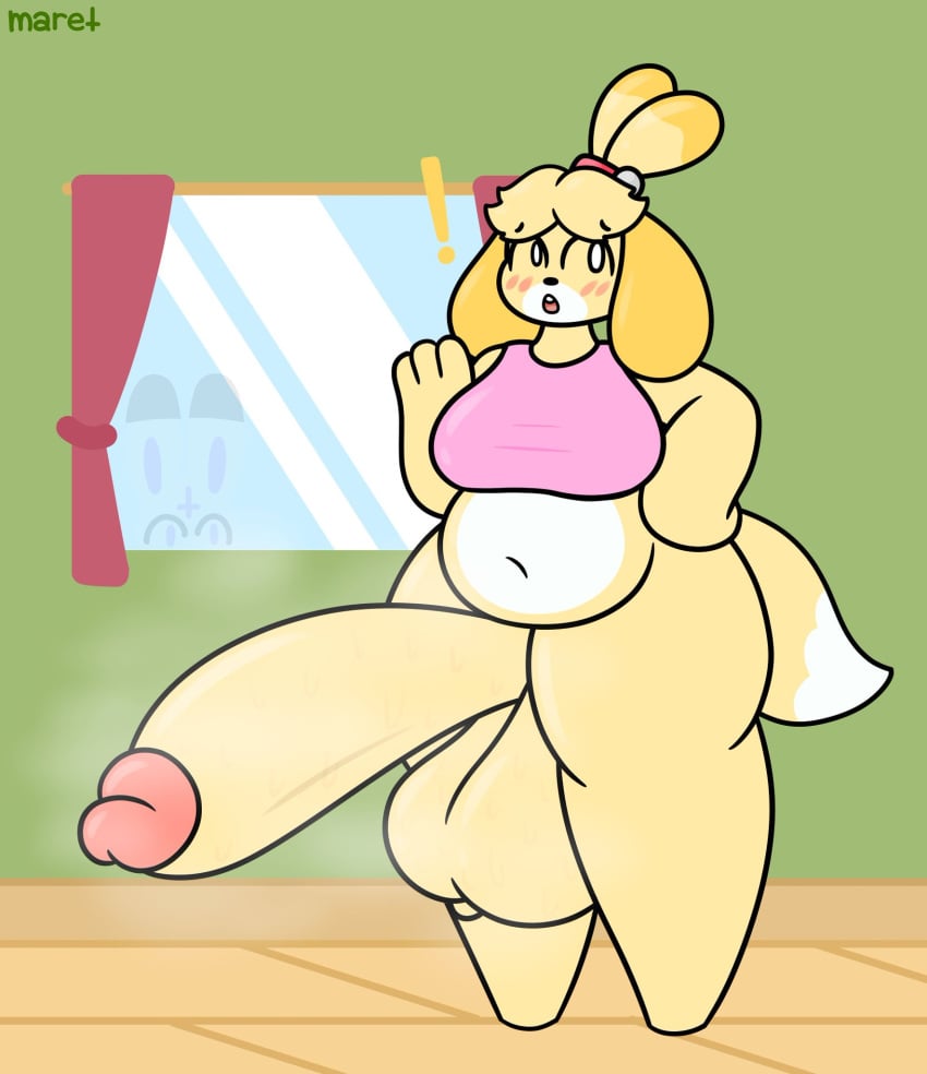 animal_crossing anthro big_balls blush canine dog_girl evilfiendish female female_only fur furry futanari huge_balls huge_cock isabelle_(animal_crossing) massive_penis musk musk_clouds musky_cock suprised suprised_look thick_thighs