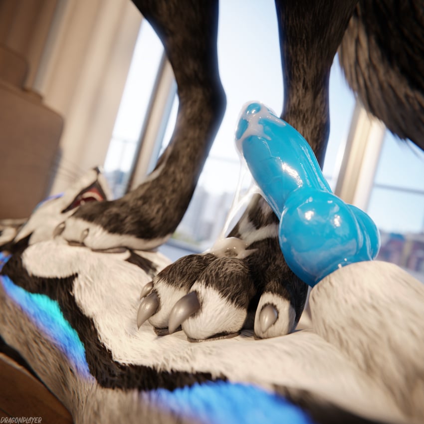 1:1 3d_(artwork) 4k absurd_res animal_genitalia animal_penis anthro anthro_on_anthro asherfoxx balls biped black_body black_claws black_fur blender_(artwork) blender_cycles blue_body blue_fur blue_penis bodily_fluids canid canine canine_genitalia canine_penis canis claws close-up clothing cum cum_drip cum_dripping_from_penis cum_on_belly cum_on_body cum_on_feet cum_on_penis depth_of_field digital_media_(artwork) dominant dragonplayer dragonplayer_(character) dripping duo erection feet foot_fetish foot_on_belly foot_on_chest foot_play fox fur furniture genital_fluids genitals grey_body grey_fur hair hi_res hindpaw inside jex jexouium knot licking lying lying_on_ground male male/male mammal moan multicolored_body nude on_ground open_mouth orgasm pawpads paws penis pushed_down reflection rexouium sex slim slim_anthro slim_male slim_sub smile standing standing_on_another stepped_on submissive submissive_male tail teeth tongue trampling white_body white_fur