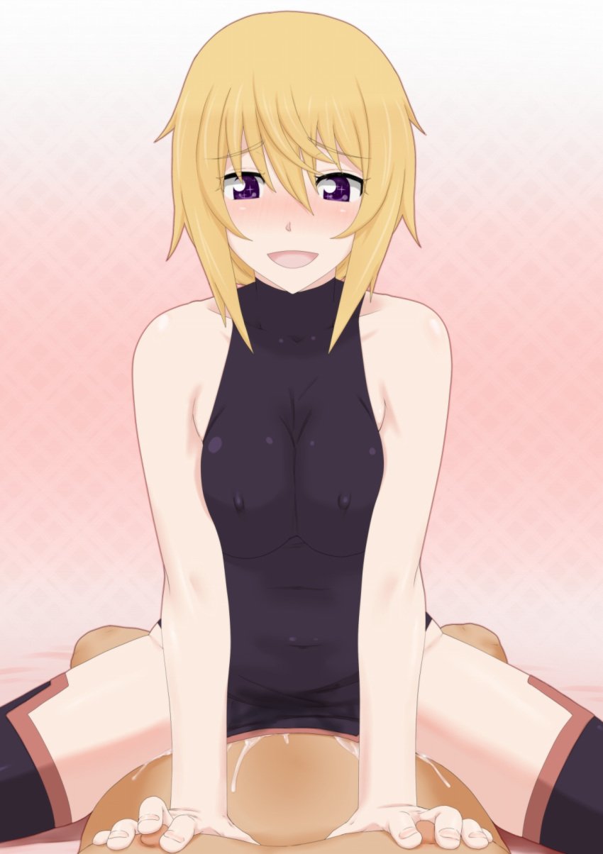 charlotte_dunois cowgirl_position infinite_stratos sex straddling tagme