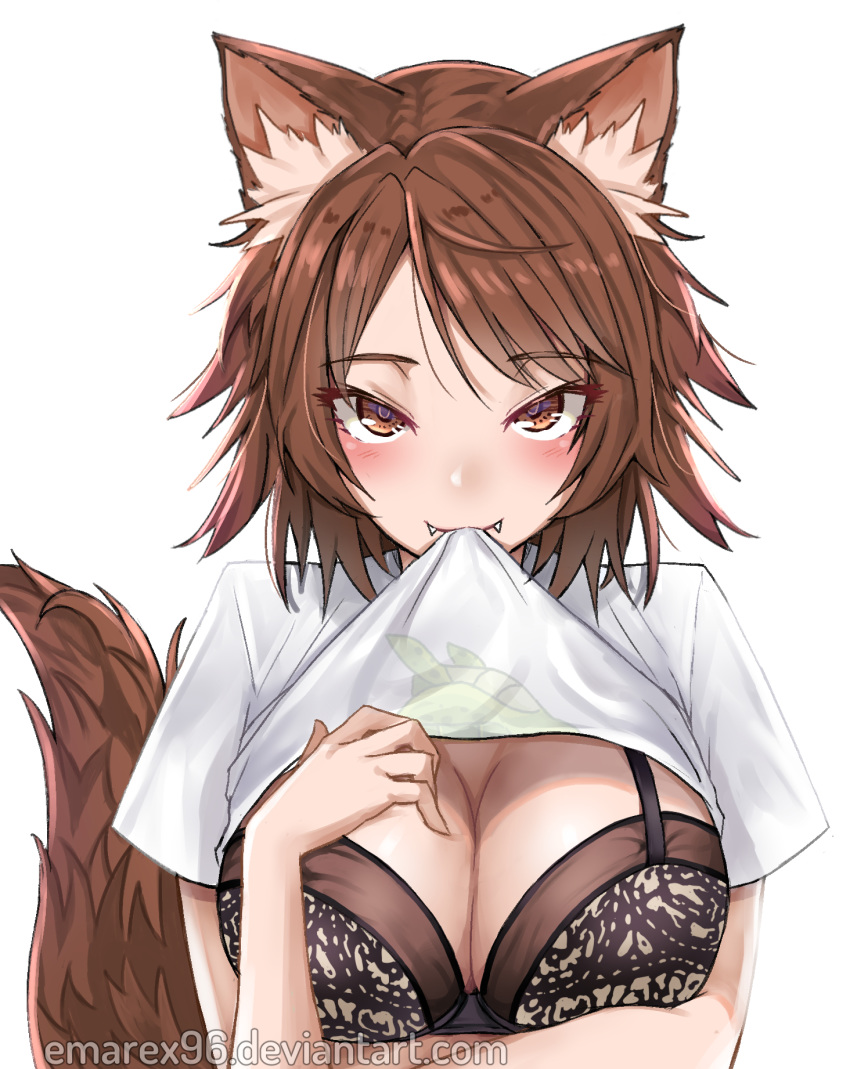 1girls animal_ears blush bra breasts brown_eyes brown_hair cleavage emarex96 fangs female highres large_breasts mouth_hold original shirt_lift short_hair simple_background smile solo tail white_background wolf_ears wolf_tail