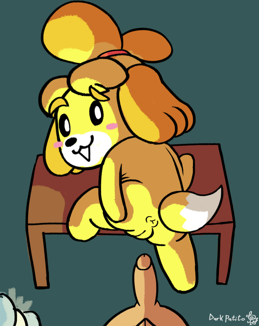 2019 animal_crossing animal_pussy anthro anus ass cute darkpatito female furry isabelle_(animal_crossing) nintendo penis pussy