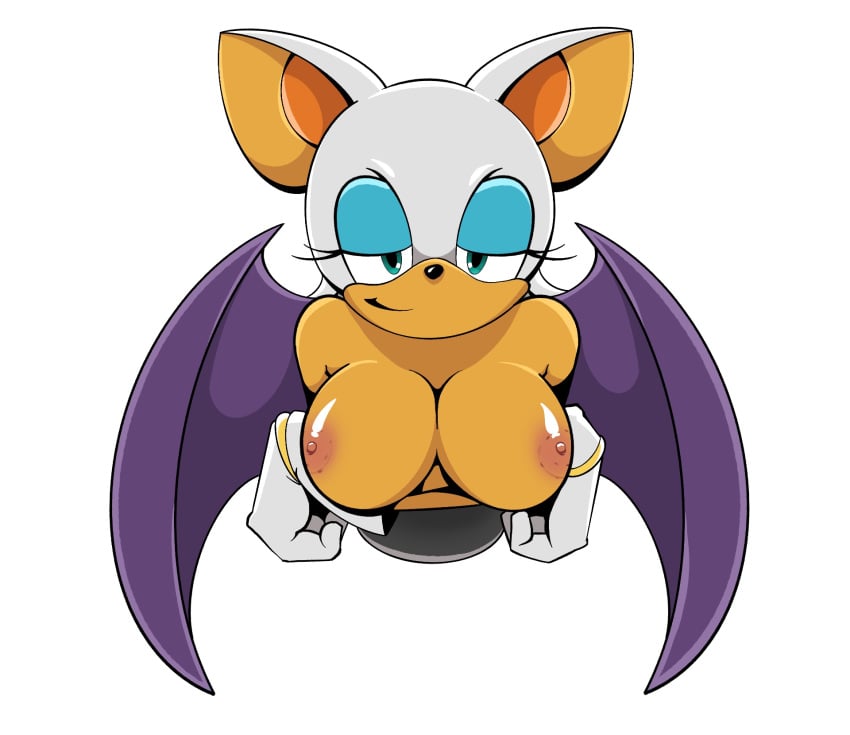 2d anthro female female_focus female_only nirosmir rouge_the_bat sega sonic_(series) sonic_the_hedgehog_(series) tagme