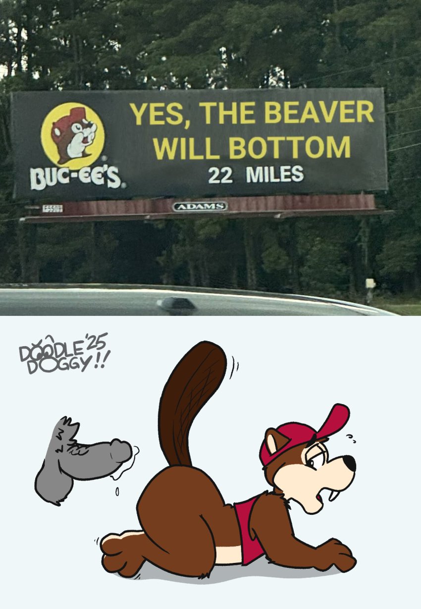 anthro beaver buc-ee buc-ee's clothing crop_top doodledoggy hi_res imminent_sex looking_back male mammal red_clothing rodent shirt submissive submissive_anthro submissive_male toony topwear