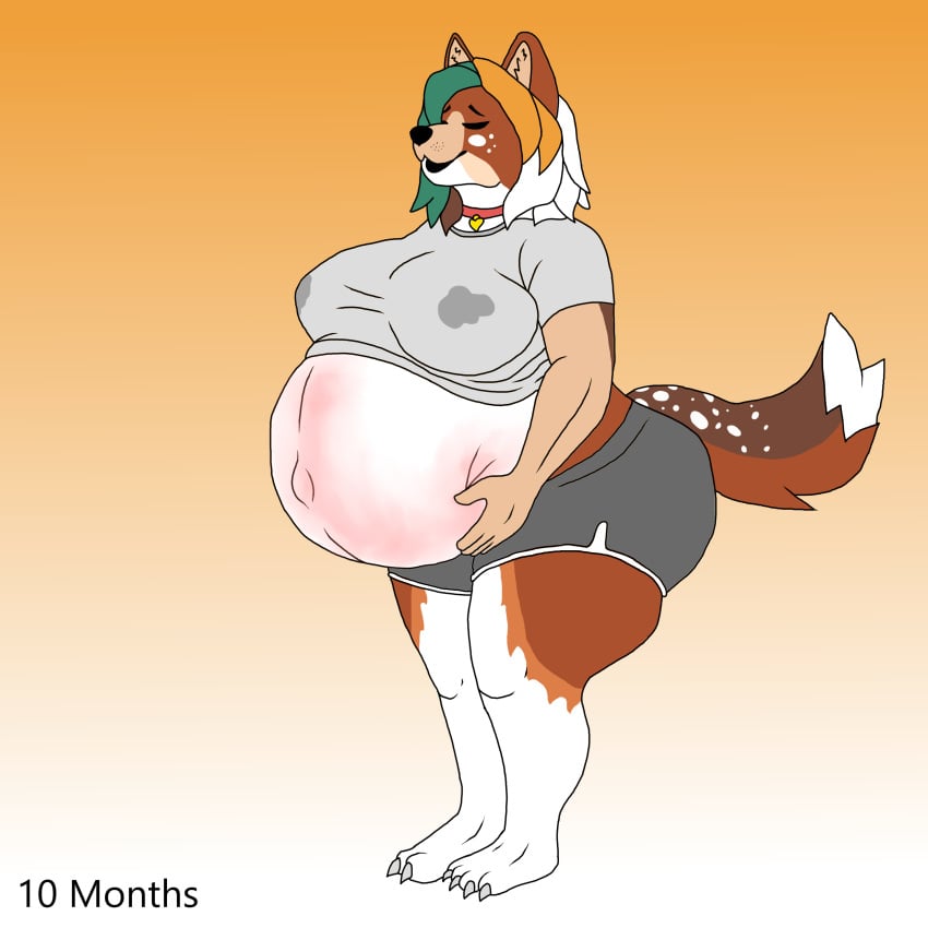 absurd_res anthro athletic_wear bodily_fluids breasts canid canine canis domestic_dog female fluffy fluffy_tail hi_res hyper hyper_pregnancy lactating mammal pregnant pregnant_female shiba_inu solo spitz tail thick_thighs zoey_the_shiba