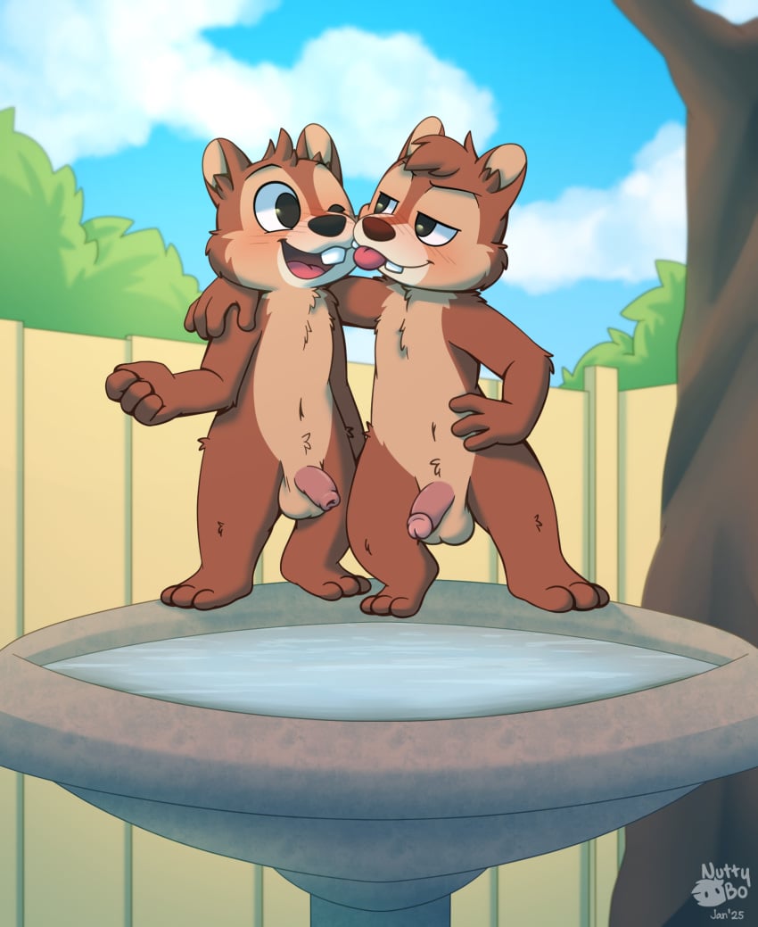 balls birdbath blush brown_body chip_'n_dale_rescue_rangers chip_(disney) chipmunk circumcised dale_(disney) disney foreskin fur genitals ground_squirrel hair hi_res humanoid_genitalia humanoid_penis male mammal nude nutty_bo open_mouth outside penis rodent sciurid sky smile tongue tongue_out