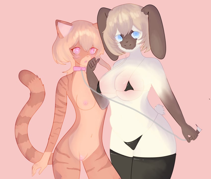 absurd_res anthro big_breasts bikini blonde_hair blue_eyes breasts clothing collar curvy_anthro curvy_female domestic_cat dominant dominant_female duo felid feline felis female female/female genitals glistening glistening_body hair headpat heart_eyes heart_symbol hi_res hypnosis lagomorph latex latex_clothing latex_legwear latex_thigh_highs leash leash_pull leashed_collar leashed_female legwear leporid mammal mind_control nipple_outline nipples orange_hair pink_eyes pussy rabbit shaved_pussy short_hair slim string_bikini submissive submissive_female swimwear tabby_cat thigh_highs tight_clothing touching_face two-piece_swimsuit wide_hips