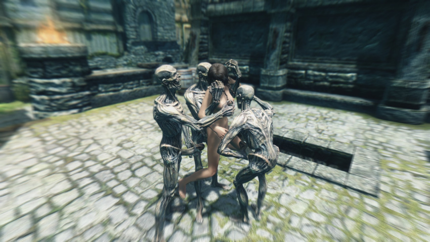 3d discombobulation skyrim tagme the_elder_scrolls