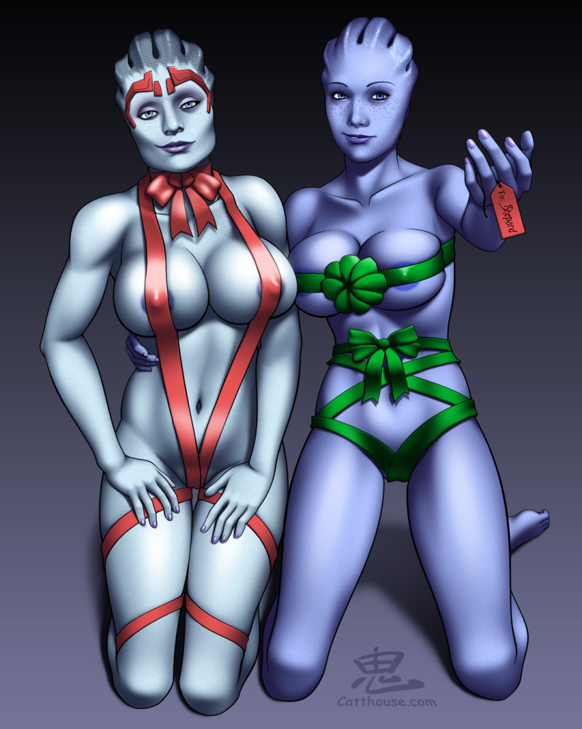 2girls alien alien_girl asari big_breasts blue_skin breasts catthouse_studios christmas female female_only gift gift_wrapped holidays inviting liara_t'soni looking_at_viewer mass_effect multiple_girls nipples no_humans oni_(artist) samara skimpy smile smirk video_games