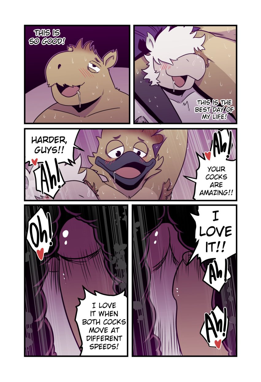anal anal_sex anatid anseriform anthro anthro_on_anthro anthro_penetrated anthro_penetrating anthro_penetrating_anthro avian bird blush camelid capybara caviid comic dialogue double_anal double_penetration duck english_text erection genitals group group_sex heart_symbol hi_res keegan_(t0l0k) llama luke_(t0l0k) male male/male male_penetrated male_penetrating male_penetrating_male mammal moan nude open_mouth open_smile paul_(t0l0k) penetration penile penile_penetration penis penis_in_ass profanity rodent sex smile t0l0k text threesome trio
