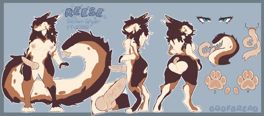 absurd_res anthro clothing female futanari genitals goofbread hair hi_res humanoid intersex intersex/female knot knotted_penis long_ears long_hair long_tongue penis slit_penis solo splynter sweater tail tail_mouth tongue topwear unusual_anatomy unusual_tail