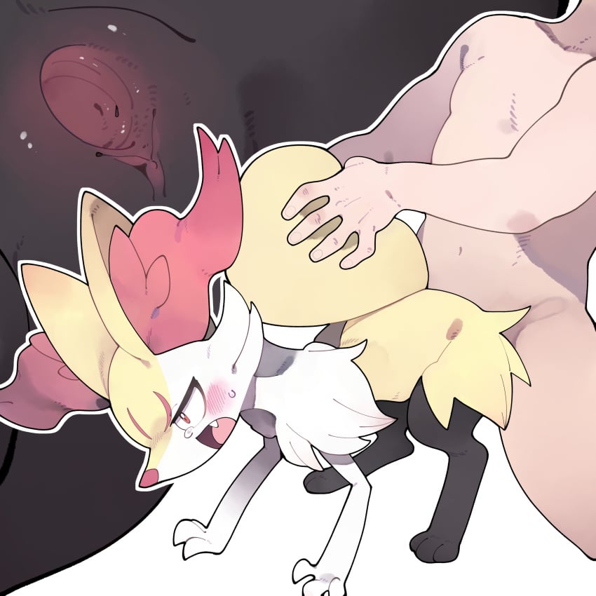 Braixen (Nintendo) Rule 34 Image
