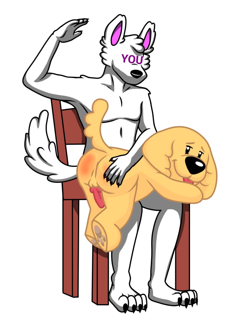 absurd_res animal_genitalia anonymous_character anthro anus ass balls bird_dog black_eyes black_nose butt_slap canid canine canine_genitalia canis chair dankev_(youtuber) digital_media_(artwork) domestic_dog duo erection faceless_character faceless_male fur fur_white furniture genitals golden_retriever harryiff_art hi_res hunting_dog lomito_dankev looking_at_viewer male male/male mammal nude parody penile penis presenting presenting_anus presenting_penis red_penis retriever simple_background slap smile spanking tail tongue tongue_out white_body white_fur yellow_body yellow_fur youtube youtuber