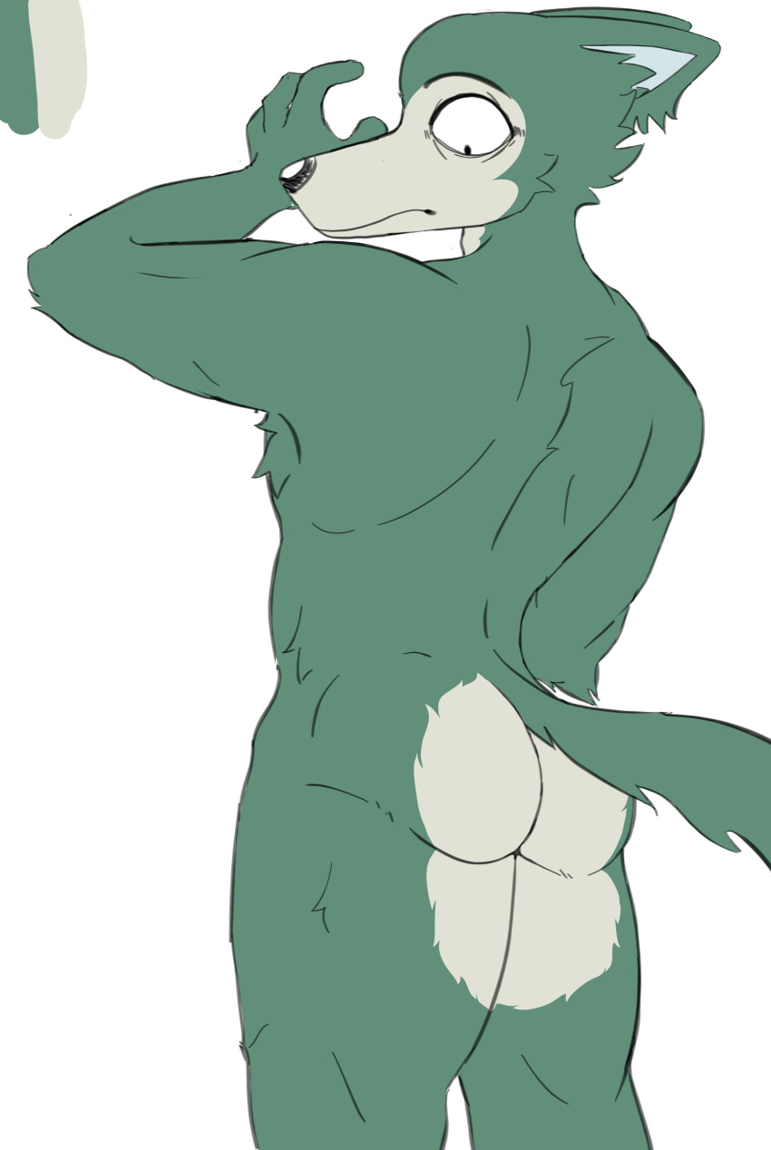 Legoshi (Beastars) Rule 34 Image