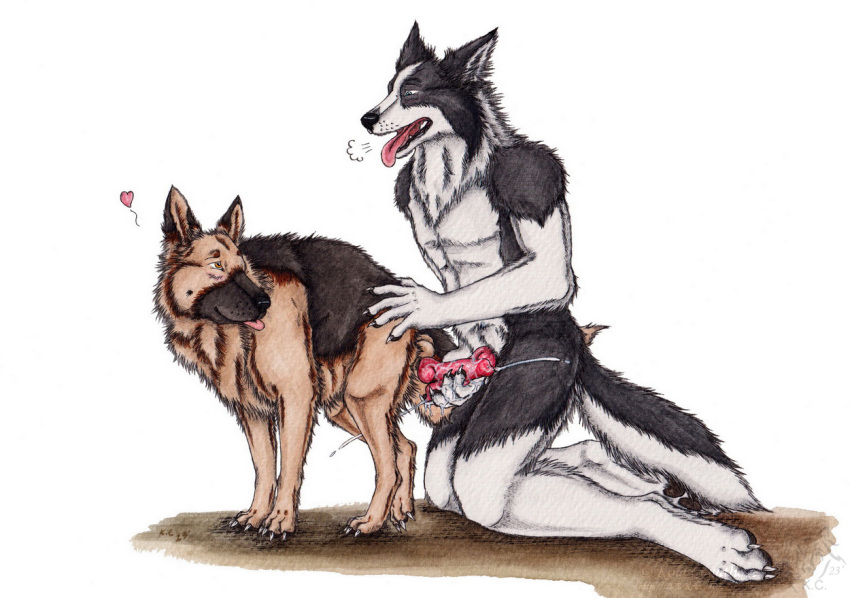2023 animal_genitalia animal_penis anthro anthro_on_feral black_body black_fur blue_eyes bodily_fluids border_collie canid canine canine_genitalia canine_penis canis collie cum cumshot dated domestic_dog duo ejaculation erection feral frottage fur genital_fluids genitals german_shepherd herding_dog kneeling kola_(artist) male male/male mammal nude open_mouth orange_body orange_eyes orange_fur pastoral_dog penile penis red_penis sex sheepdog side_view simple_background tongue tongue_out white_background white_body white_fur zoophilia