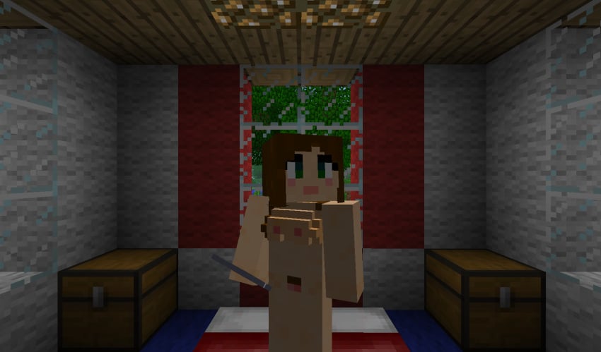 Character (Minecraft) Rule 34 Image