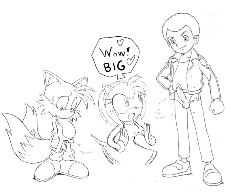 amy_rose danny fur furry_tail miles_tails_prower multiple_tails penis_size_comparison penis_size_difference small_penis_humiliation sonic_(series) sonic_x tail