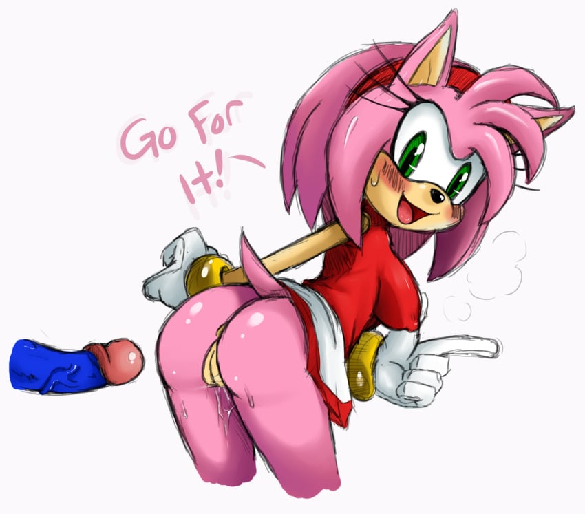 Amy Rose (Sonic (Series)) Rule 34 Image