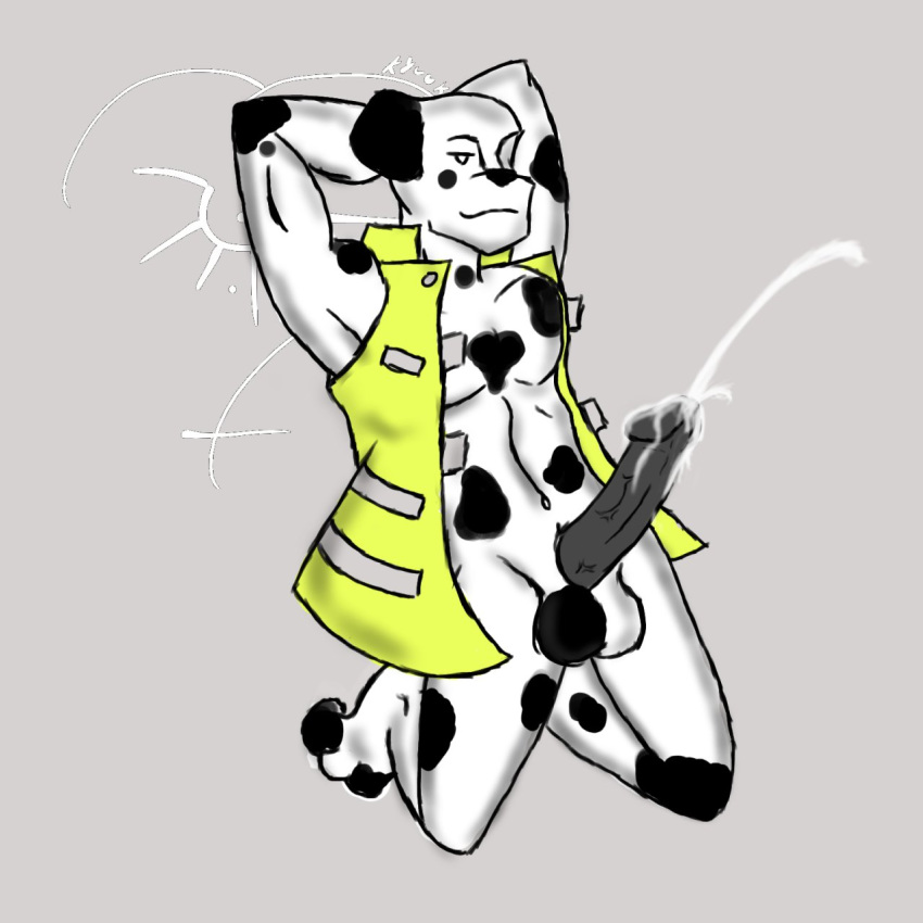 anthro canine cum dalmatian erection fireman fur furry male penis