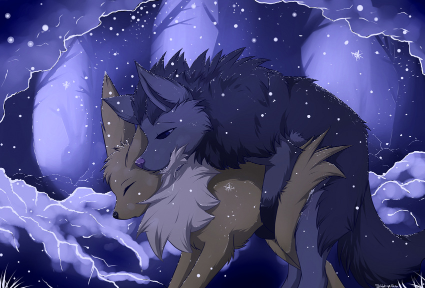2011 black black_nose blackfury blue_eyes canine closed_eyes detailed_background doggy_style eeveelution feral fluffy forest fox from_behind grey hyena jolteon male mammal mightyena mounting night nintendo outdoors pink_nose pokemon pokemon_(species) sex snow tail tree white_fur winter wood yellow