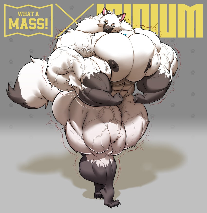 1furry 1girls 2d 2d_(artwork) 2d_artwork abs absurd_res alternate_version_at_patreon alternate_version_at_source alternate_version_available artist_logo biceps big big_ass big_biceps big_breasts big_butt big_muscles breasts digital_art digital_media digital_media_(artwork) female flexing flexing_biceps fox furry growth growth_sequence hyper_muscles looking_at_viewer muscle muscle_growth muscles muscular muscular_arms muscular_female muscular_legs muscular_thighs posing posing_for_the_viewer thighs tight_clothing veins veiny_muscles what_a_mass! white_fur wolf