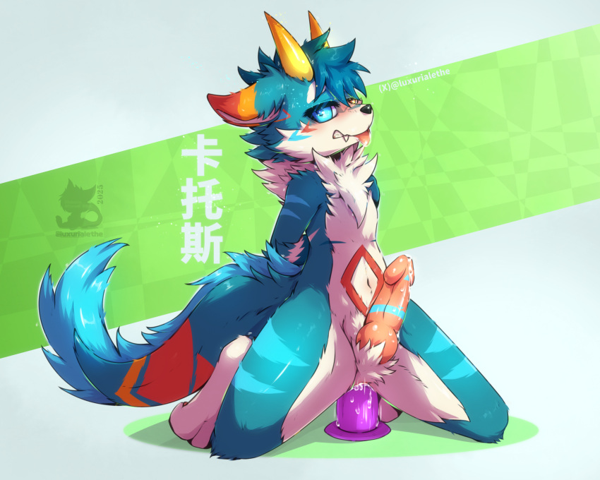 Xxl Woofia Rule 34 Image