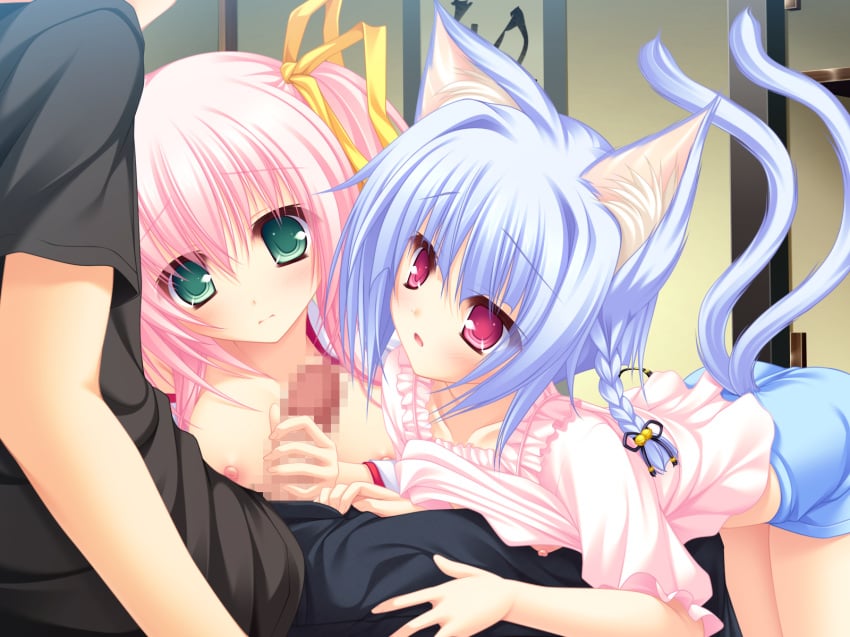 animal_ear blue_hair breasts catgirl censored fur game_cg green_eyes kiryuu_hina mikagami_mamizu neko_koi nipples penis pink_eyes pink_hair tail toono_sayaka whirlpool