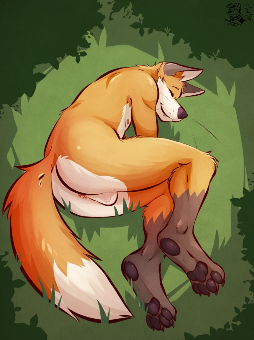 anthro anus ass backsack balls canid canine closed_eyes dipstick_tail fox fur genitals grass hi_res joshuathefox leg_markings lying lying_on_grass male mammal markings nude on_grass on_side orange_body orange_fur outside pawpads plant sleeping smile socks_(marking) solo tail tail_markings ventkazemaru white_body white_fur