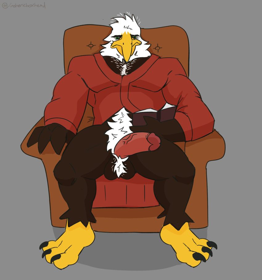 2023 accipitrid accipitriform anthro avian bald_eagle balls bathrobe bathrobe_only belly_hair bird body_hair book chair chest_hair clothing eagle erection feather_hair feather_tuft feathers furniture genericboxhead genitals green_eyes hair hairy_balls hi_res male manly mature_male muscular muscular_legs on_chair open_bathrobe pecs penis pseudo_hair pubes reading reading_book red_bathrobe red_clothing red_robe robe sea_eagle simple_background sitting solo tuft vein veiny_penis white_hair