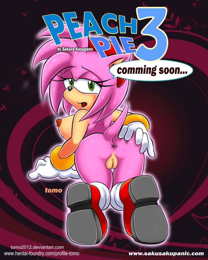 all_fours amy_rose animal_ears anus ass back_view big_ass big_breasts boots breasts color english_text female female_only footwear fur furry_ass furry_ears gloves green_eyes hair hedgehog looking_back mammal nipples nude open_eyes pink_fur pink_hair pointy_ears presenting presenting_hindquarters pussy sega solo sonic_(series) tail text tomo_(artist) vulnerable