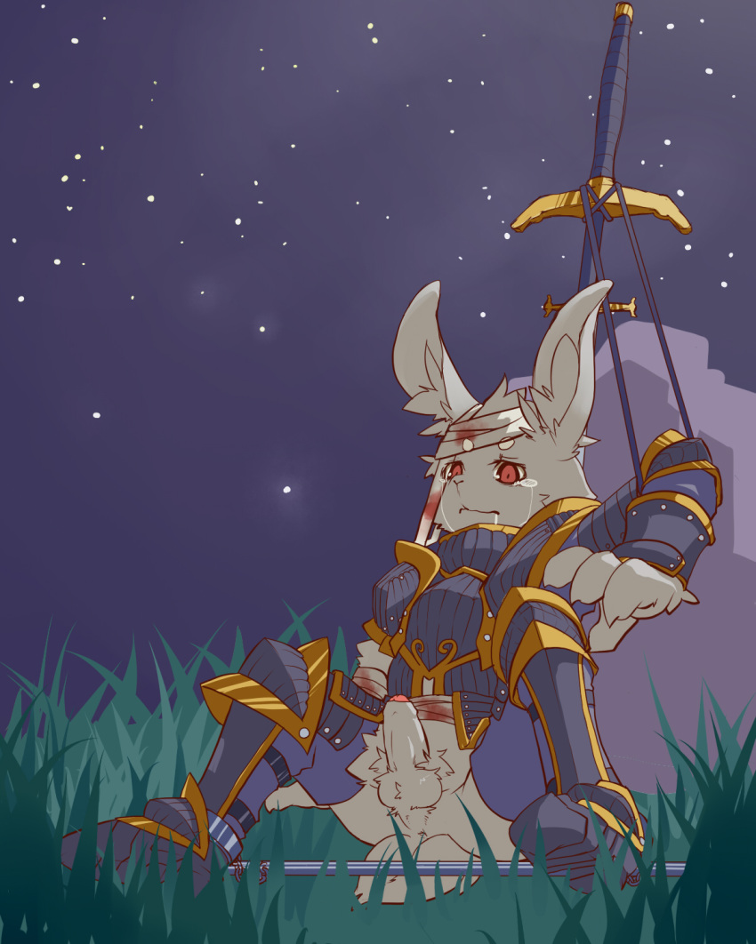 1boy anthro anus armor balls bandage blood blood_stain bloody_bandage closed_mouth clothes color fur furry furry_ears grass grey_fur kosian lagomorph long_ears male male_only night open_eyes outdoors penis rabbit red_blood red_eyes solo stars sword tear weapon