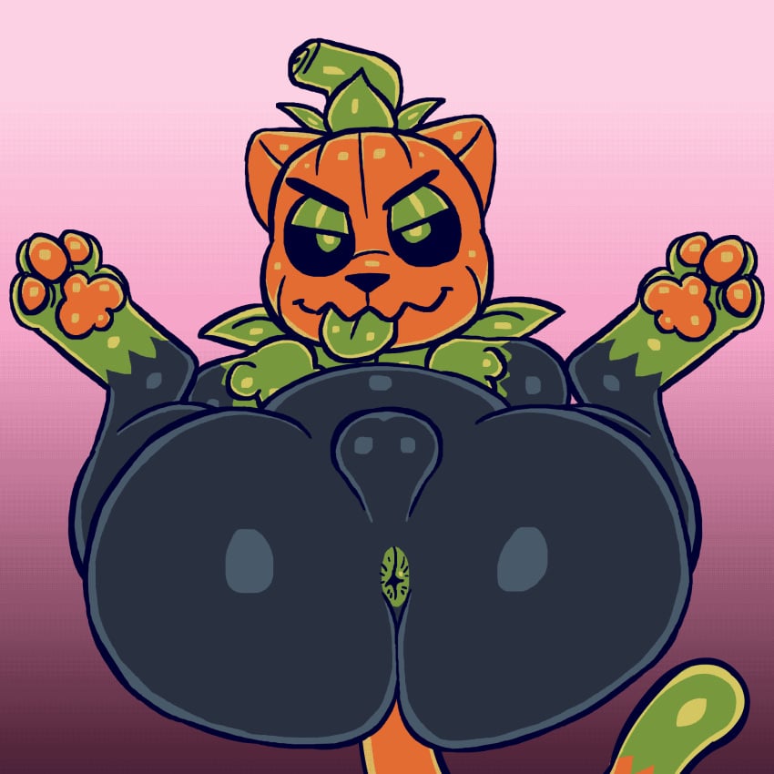 1:1 angry animated anthro anus ass balls digital_media_(artwork) food fruit genitals hi_res looking_at_viewer male male_only pawpads paws plant pumkat pumpkin semicolon short_playtime solo solo_male tongue tongue_out