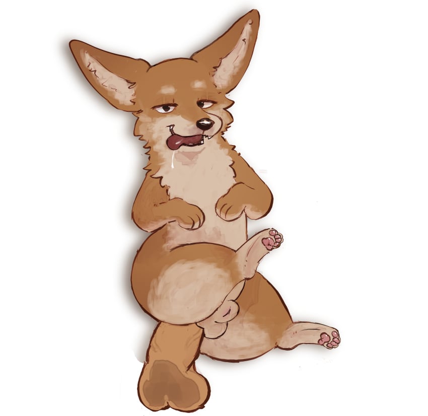 absurd_res anal anal_sex anthro bodily_fluids canid canine canis disembodied_penis domestic_dog drooling duo freakpaws genitals herding_dog hi_res looking_at_viewer looking_pleasured lying male male/male mammal on_back pastoral_dog penetration penis raised_leg saliva semi-anthro spread_legs spreading tongue tongue_out welsh_corgi