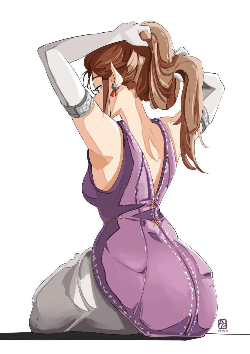 Princess Zelda (Nintendo) Rule 34 Image