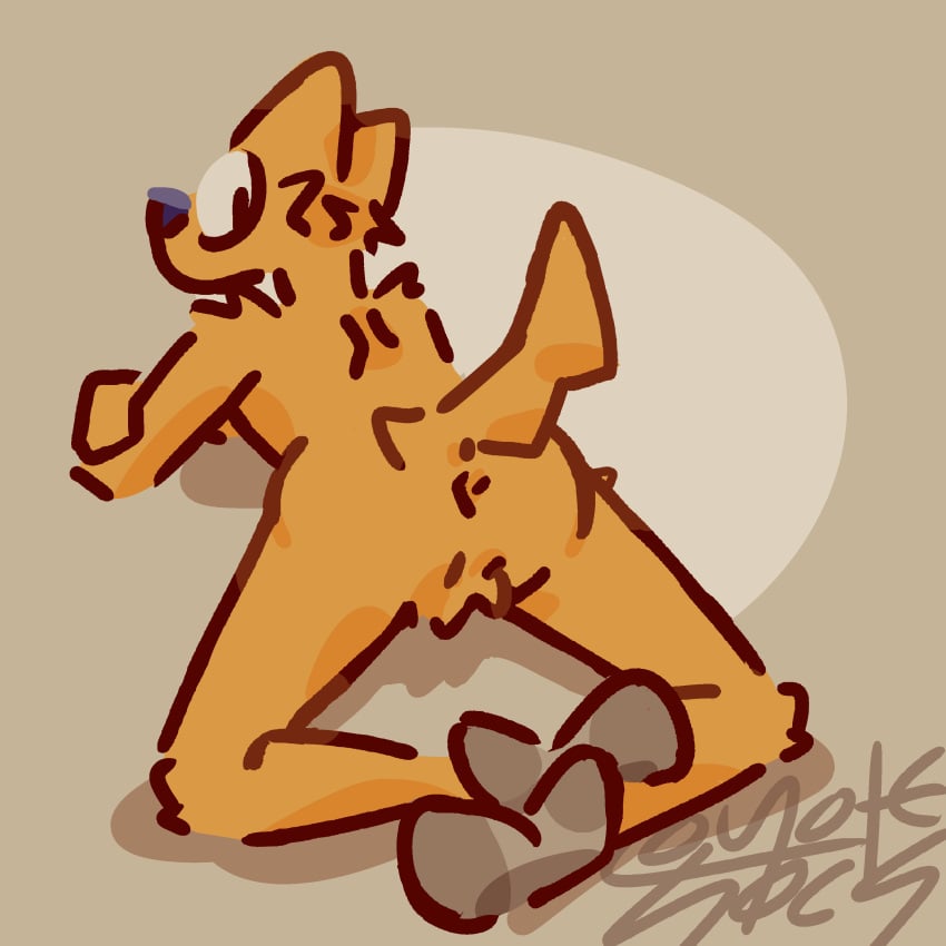 1:1 absurd_res ambiguous_gender anthro anus ass blue_nose canid canine canis clothing coyote coyotesocks crossed_arms footwear footwear_only fur genitals hi_res looking_back male mammal mostly_nude neutral_expression null null_with_anus orange_body orange_fur presenting presenting_anus presenting_hindquarters rear_view signature slim socks socks_(coyotesocks) socks_only solo