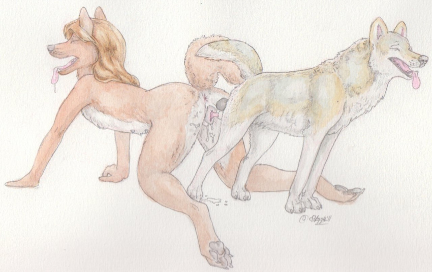 2011 anatomically_correct anthro anthro_on_feral balls canine closed_eyes cum cum_inside female feral knot male mammal open_mouth panting penis pussy sex straight windpaw wolf