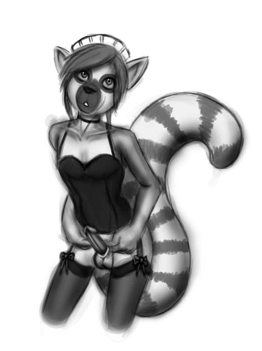 2012 balls crossdressing dare_(artist) erection girly joel_the_lemur lemur looking_at_viewer male male_only penis plain_background solo stockings white_background