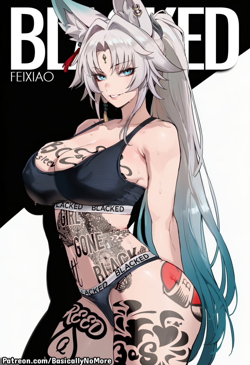 Feixiao (Honkai: Star Rail) Rule 34 Image
